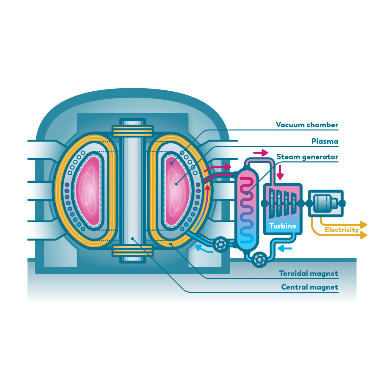 infographic kernfusie kernreactor nuclear fusion NRG 01